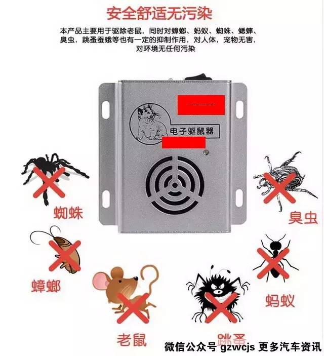 鼠患可能让你的车自燃 如何防范？