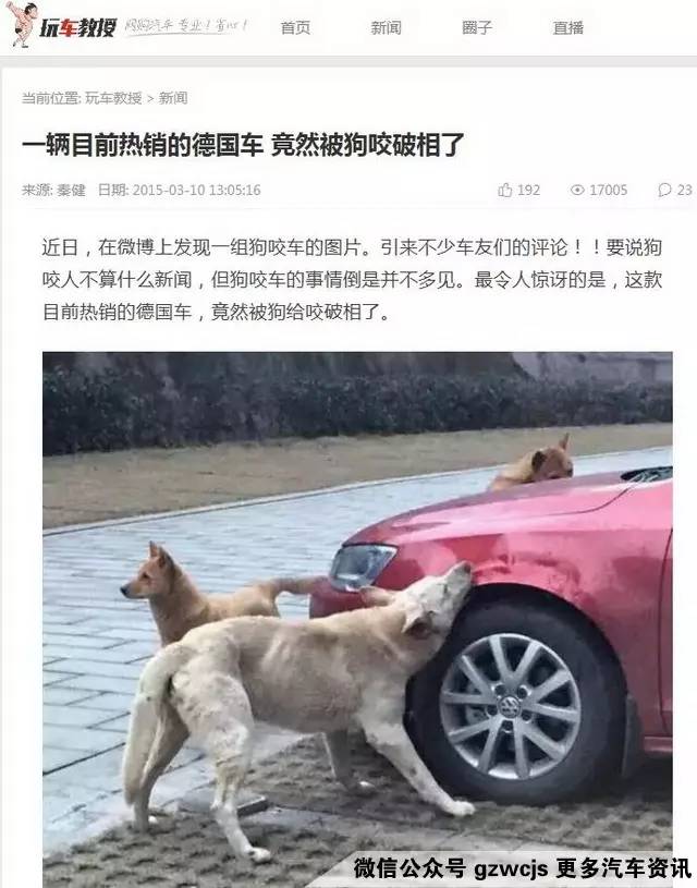 鼠患可能让你的车自燃 如何防范？