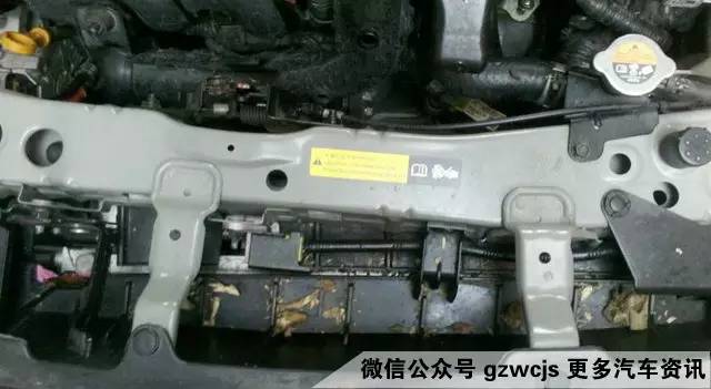 鼠患可能让你的车自燃 如何防范？