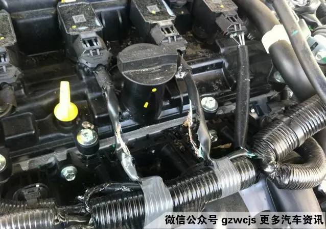 鼠患可能让你的车自燃 如何防范？