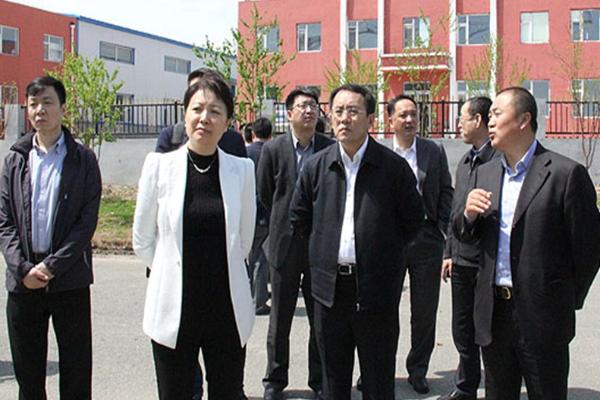 市委常委,常务副市长张晶莹督查双阳区2016年项目建设情况