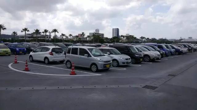 这个世界上开车最规矩的 大概就是日本人