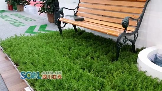 一平方米的草坪价格怎么算