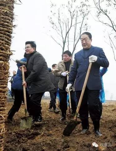 苏荣曾追求全国第一绿色政绩 有地方水泥上种树
