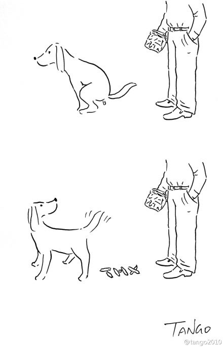 脑洞大开系列插画tango一日一画2