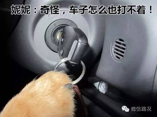 小毛病被大修？掌握几招，修理厂不敢坑你