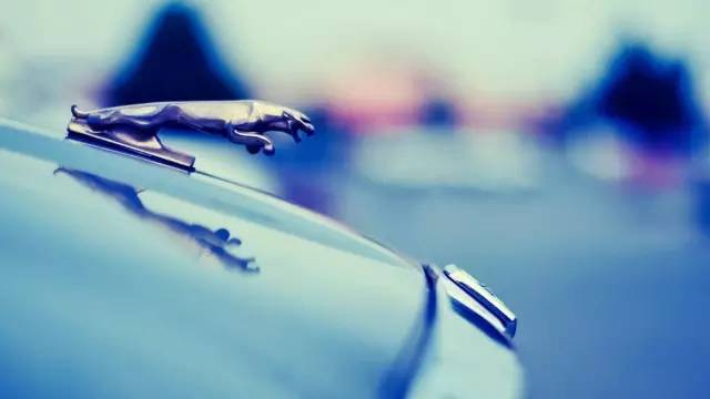 外国品牌也是蛮拼的 为本地化玩起十二生肖