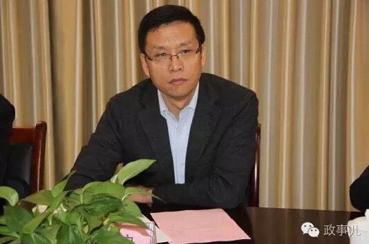 陈雪枫培植的私人势力都去哪儿了