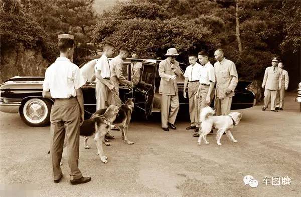 中国汽车为什么靠右行？原来有这么多故事！