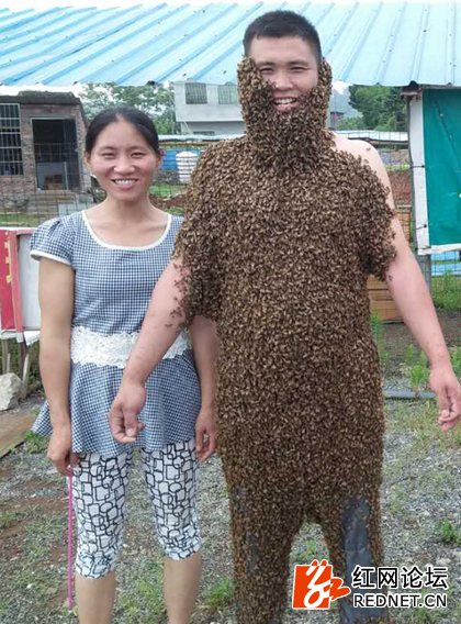 郴州养蜂人裸身穿蜂衣数万只蜜蜂成特制盔甲