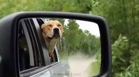 【男人必看】女人心中男人最帅的开车姿势