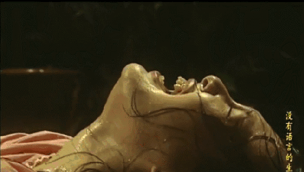 600_340gif 动态图 动图