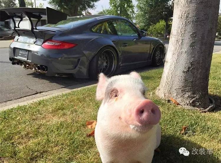 蓝色控的最爱 保时捷911宽体改装案例
