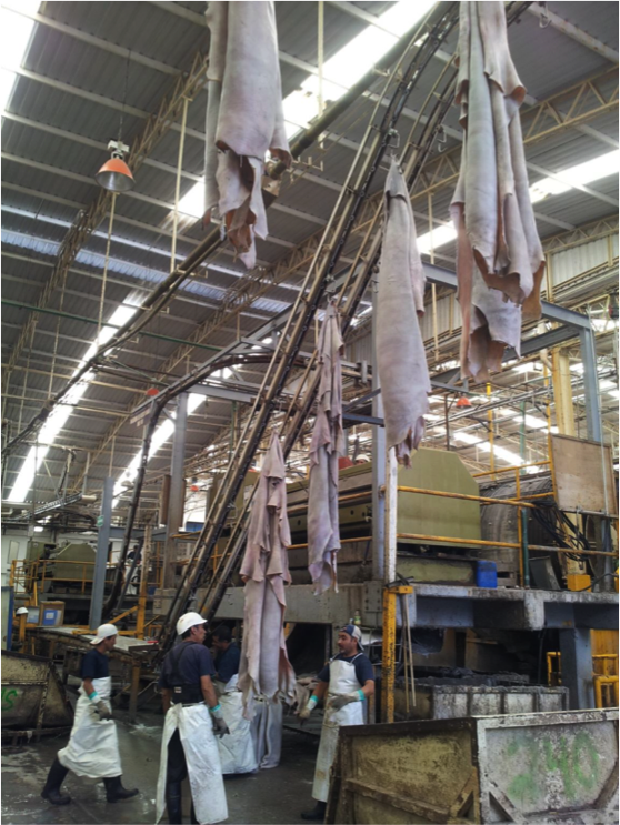 真皮座椅的秘密