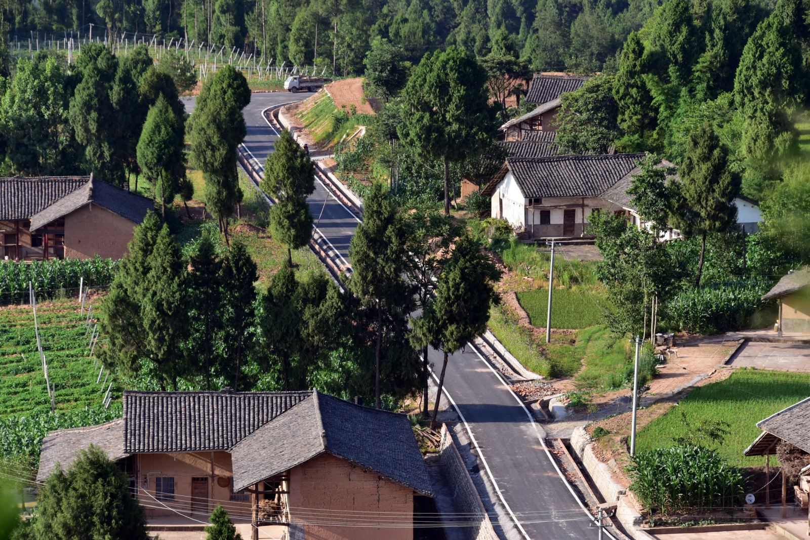 四川省广元市苍溪县三会园区里的农村公路.摄影/章轲