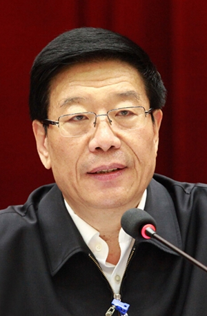 徐守盛以两学一做推动全面从严治党向基层延伸