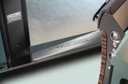 看到这两只百年“怪兽” 我整个人都方了