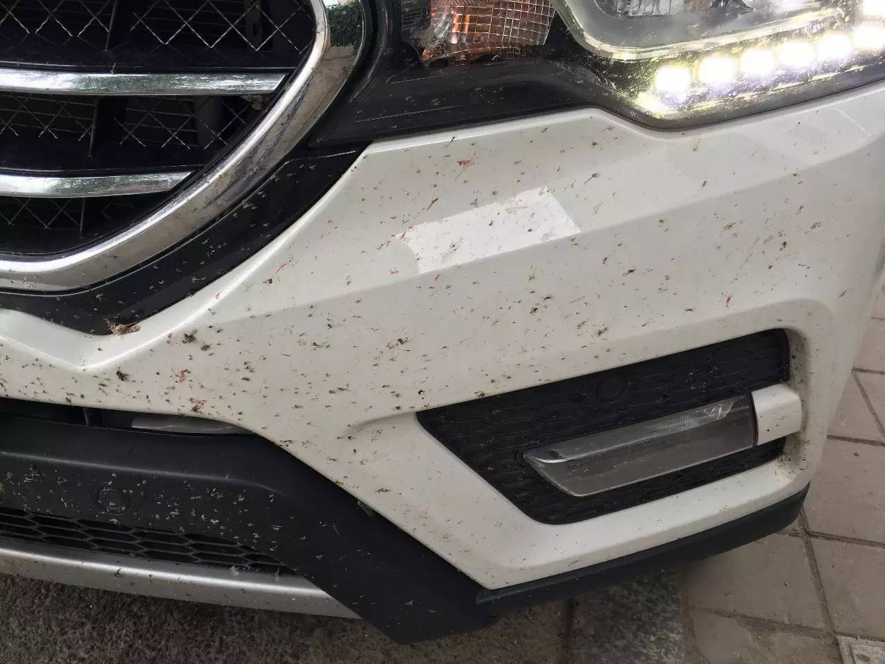 撞一车血还不停车 G1京哈高速肇事现场！