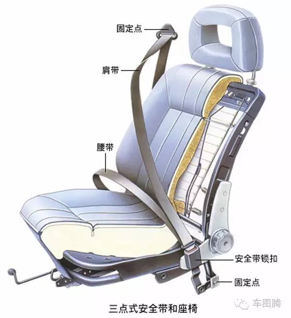 血淋淋案例：为什么汽车后排也要系安全带