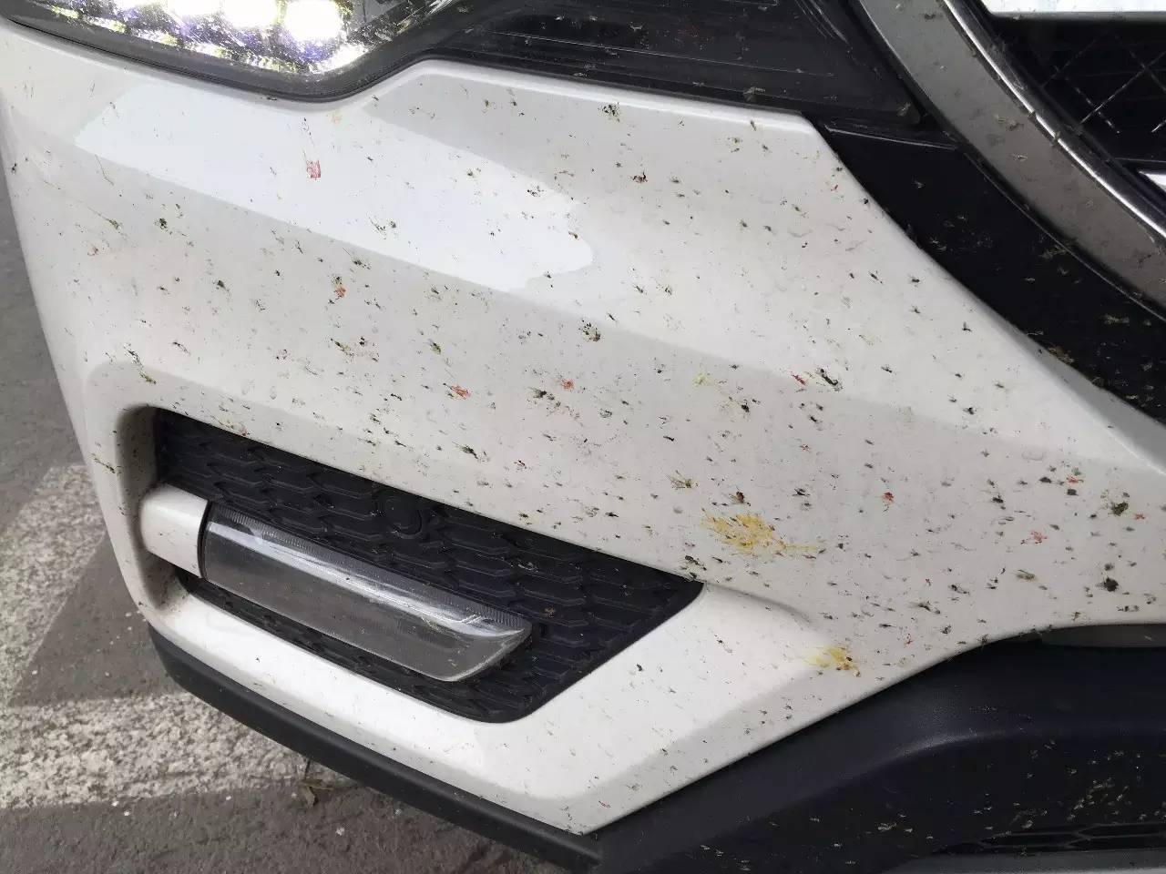 撞一车血还不停车 G1京哈高速肇事现场！