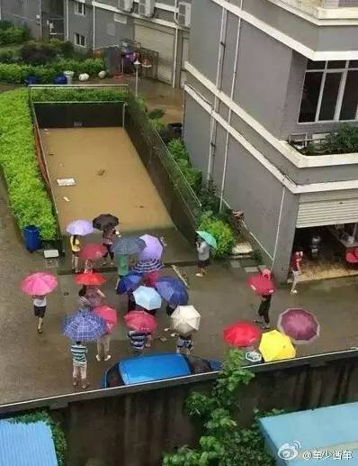 不厚道的笑了 有一种感觉叫绝望。。。