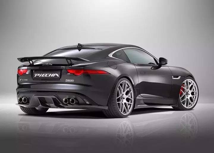 改装 | 不是所有“猫科动物”都懂得卖萌