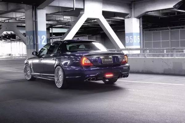 改装 | 不是所有“猫科动物”都懂得卖萌