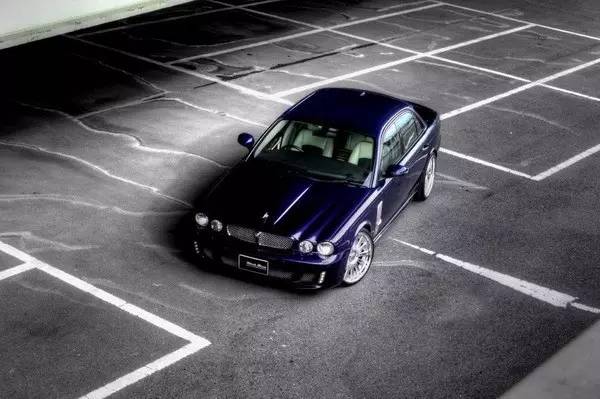 改装 | 不是所有“猫科动物”都懂得卖萌