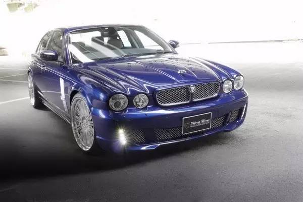 改装 | 不是所有“猫科动物”都懂得卖萌