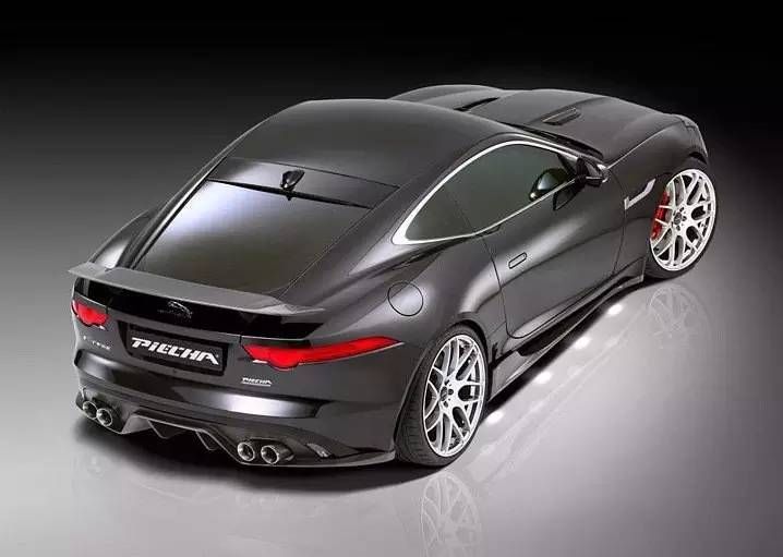 改装 | 不是所有“猫科动物”都懂得卖萌