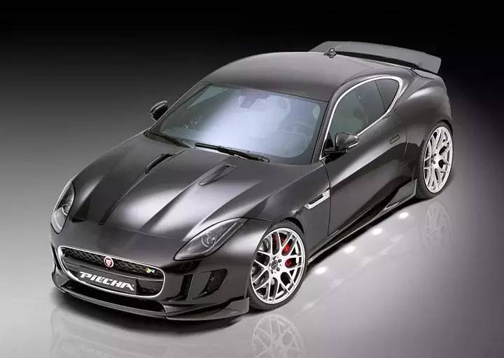 改装 | 不是所有“猫科动物”都懂得卖萌