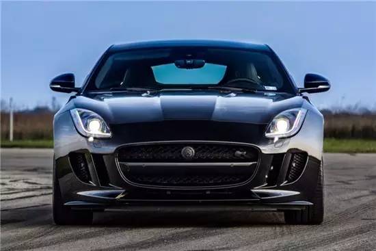 改装 | 不是所有“猫科动物”都懂得卖萌