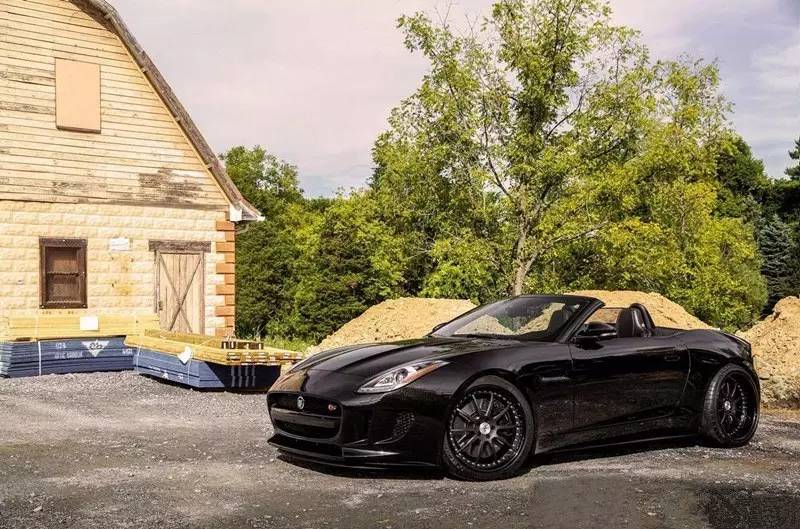 改装 | 不是所有“猫科动物”都懂得卖萌