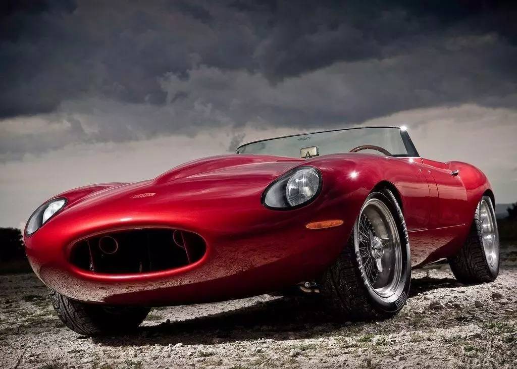 改装 | 不是所有“猫科动物”都懂得卖萌