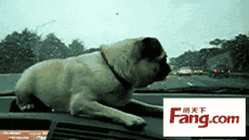 在海里开车是怎样一种感受？