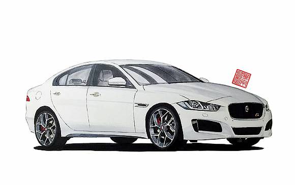 改装 | 不是所有“猫科动物”都懂得卖萌