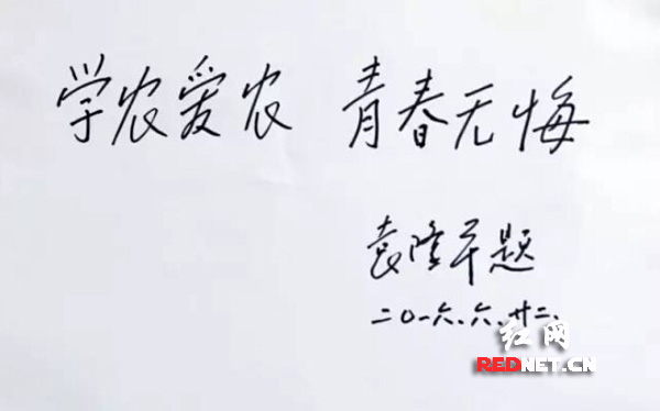 袁隆平题字"学农爱农 青春无悔" 鼓励有志青年投身农业