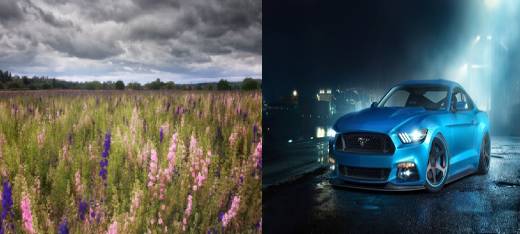 豪车与花不得不说的搭配 | 汽车内参