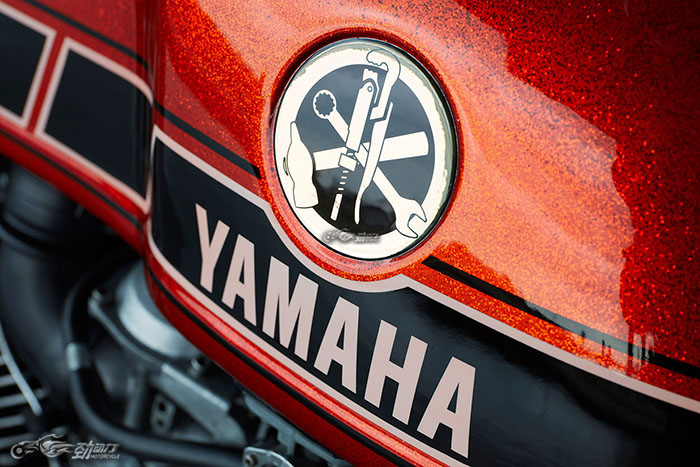 从“不受待见”到变身时尚