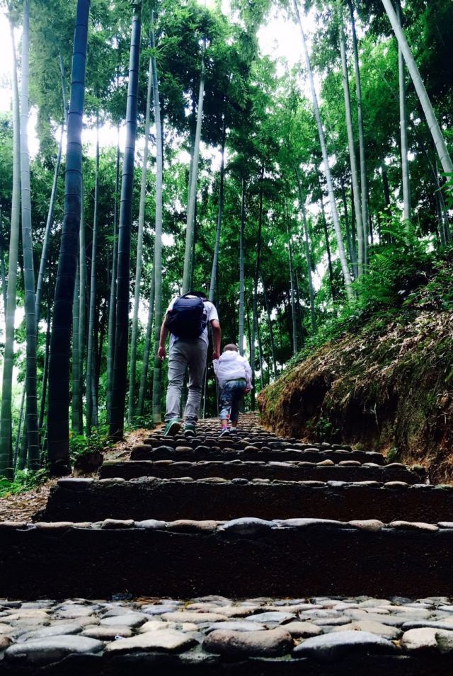 暴雨天开车带仔出游是一种怎样的体验