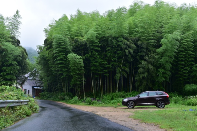 暴雨天开车带仔出游是一种怎样的体验
