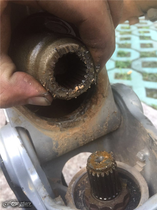 “大鸟”也断轴？听听终极玩家老蔡怎么说