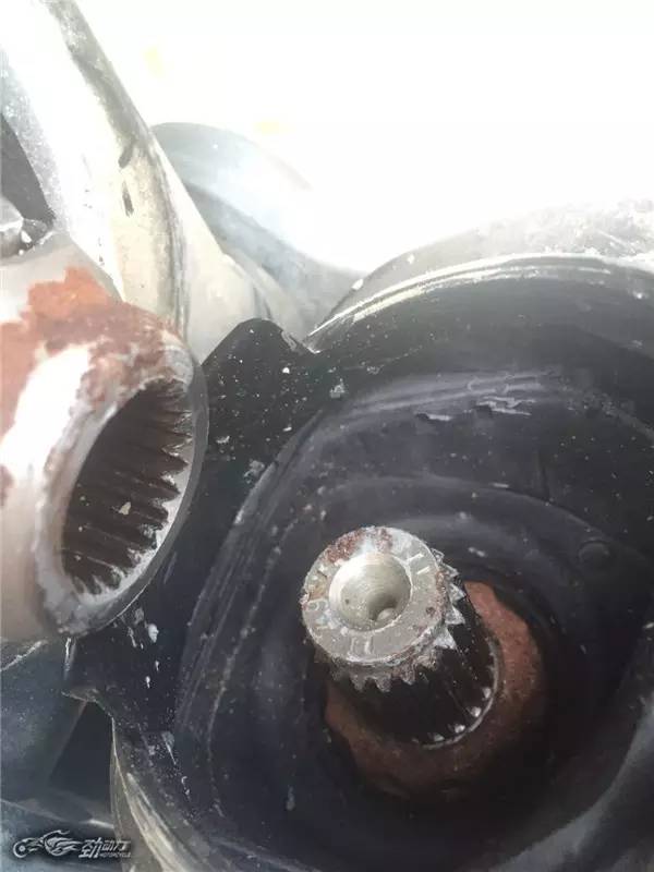 “大鸟”也断轴？听听终极玩家老蔡怎么说