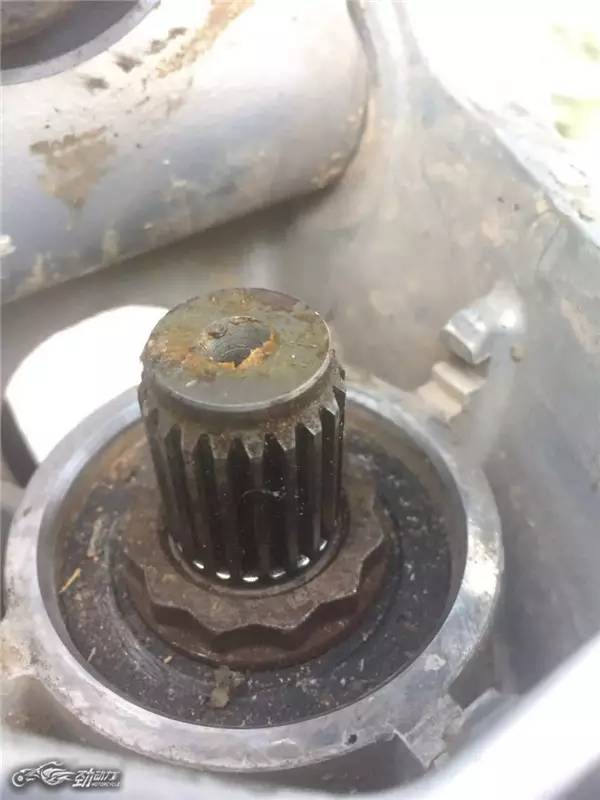 “大鸟”也断轴？听听终极玩家老蔡怎么说