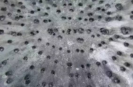 你见过2000多万的奥迪吗？