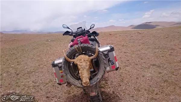 “大鸟”也断轴？听听终极玩家老蔡怎么说