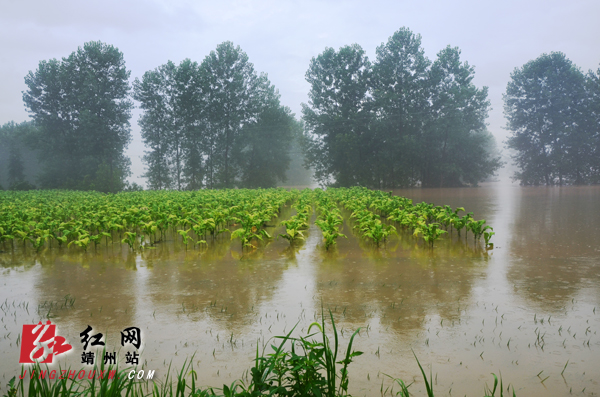 靖州:新厂镇炮团村26名被困群众成功获救