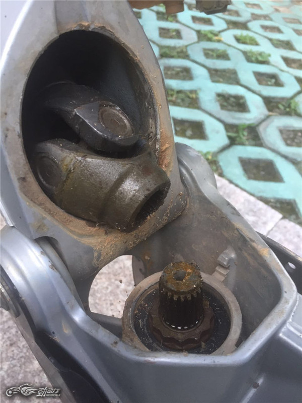 “大鸟”也断轴？听听终极玩家老蔡怎么说