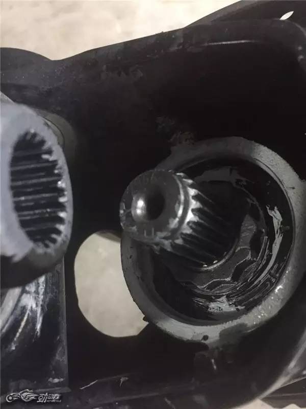 “大鸟”也断轴？听听终极玩家老蔡怎么说