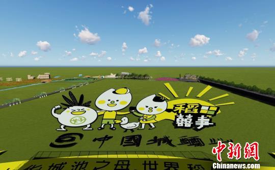湖南城头山绘制巨幅稻田图助兴稻田彩绘节